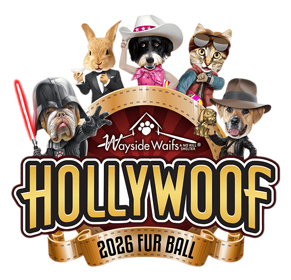2026 Furball HollyWoof logo